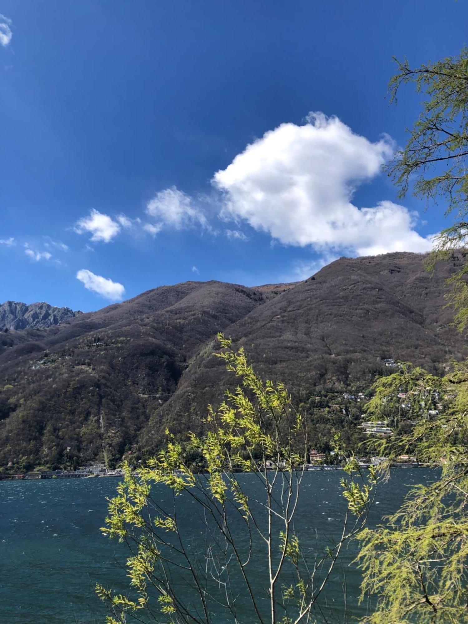 Bed and Breakfast Al Grottino Gambarogno Exterior foto