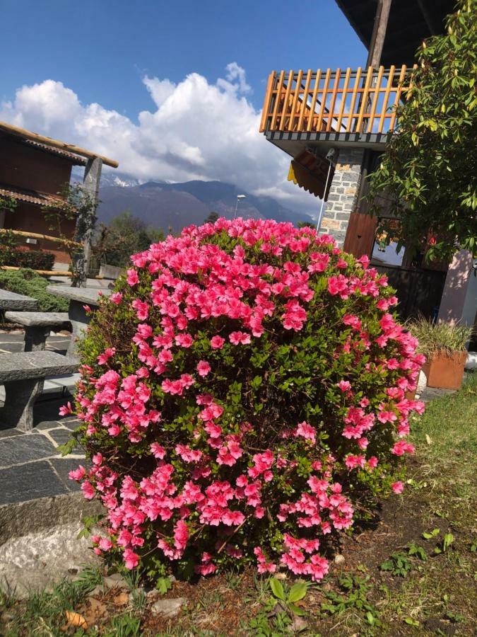 Bed and Breakfast Al Grottino Gambarogno Exterior foto