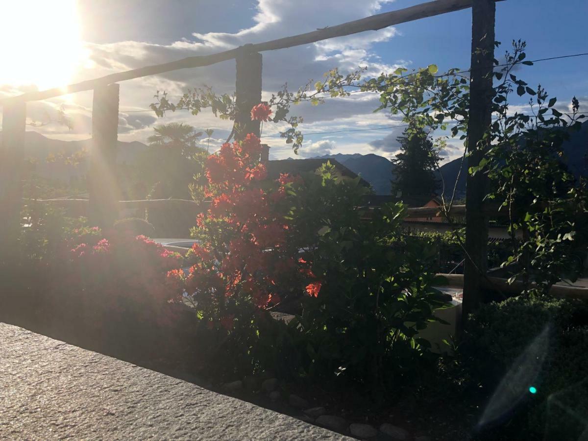 Bed and Breakfast Al Grottino Gambarogno Exterior foto